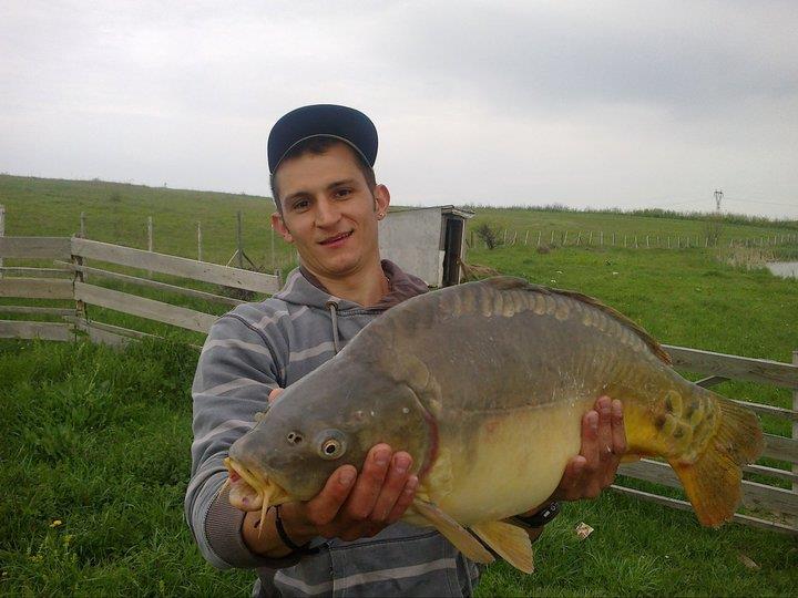 Sustra 2012 jud Timis - 217778_212828548745932_7255297_n.jpg